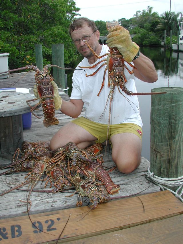 Diving for Lobster in Florida