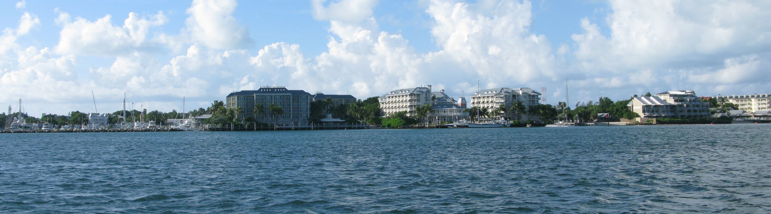 DiveVandenberg_29-Aug-2010_6408.JPG