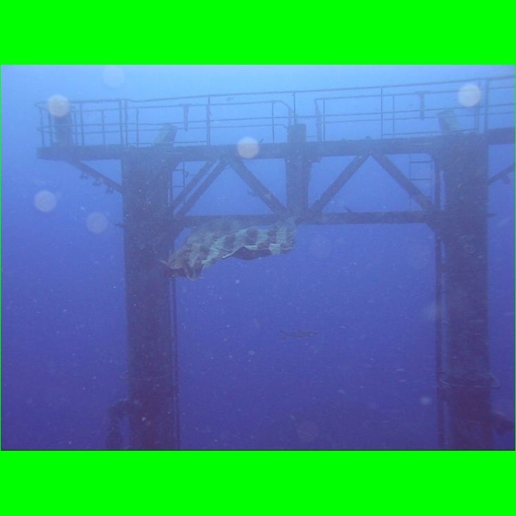 DiveVandenberg_29-Aug-2010_MVI_6428.AVI