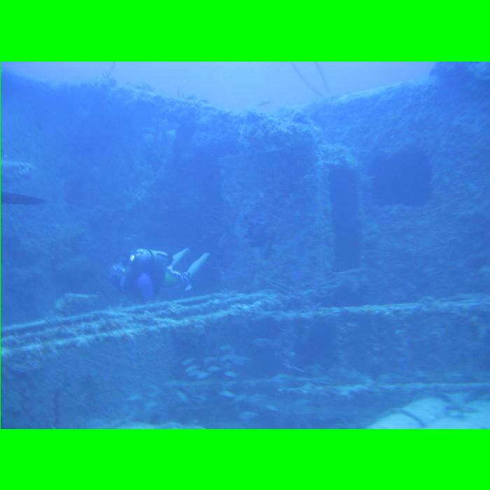 Bibb-904.JPG