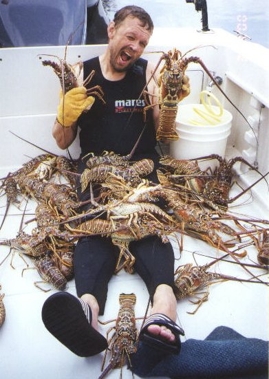 News Flash - LOBSTERS ATTACK THE IRISHMAN