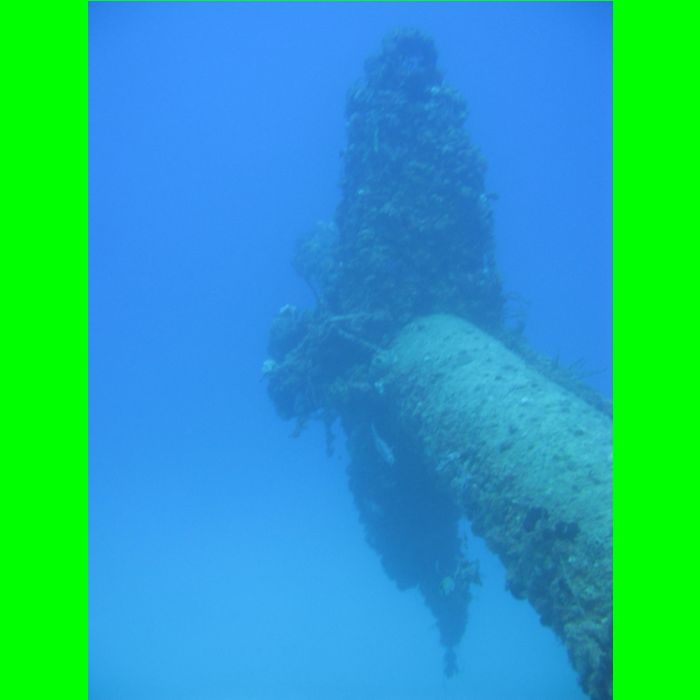 Eagle-4037.JPG