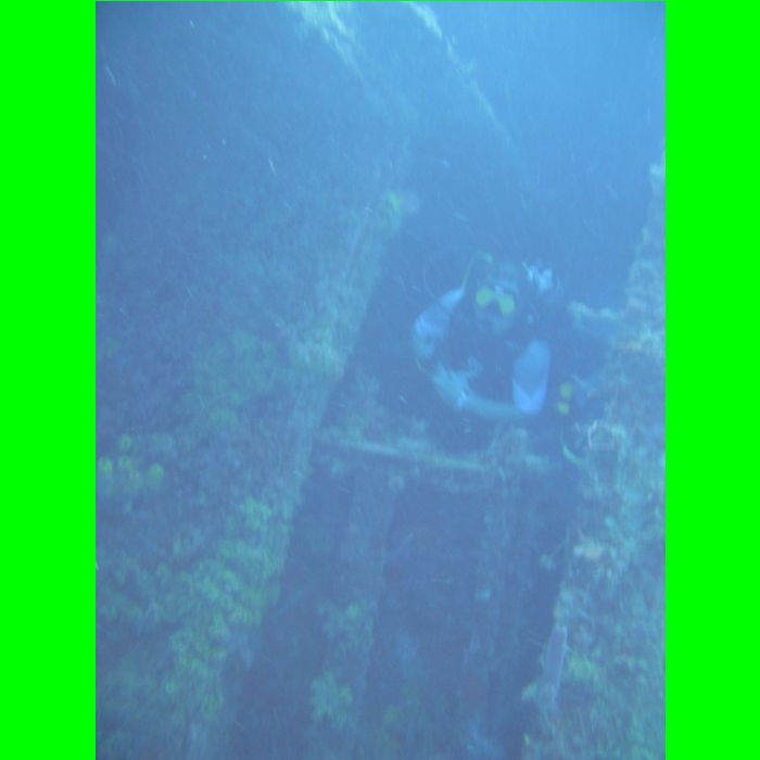 Eagle-4043.JPG