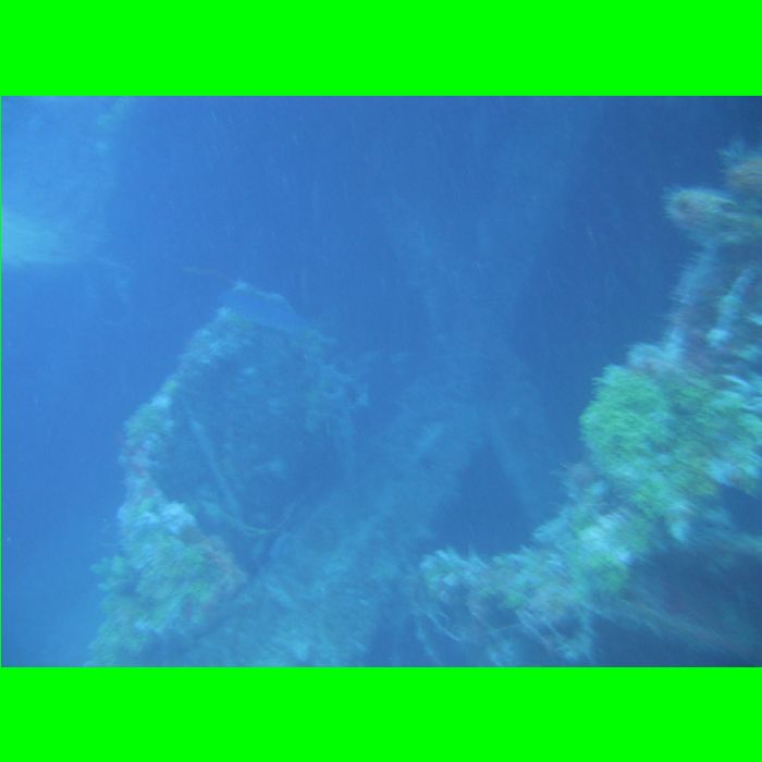 Eagle-4049.JPG